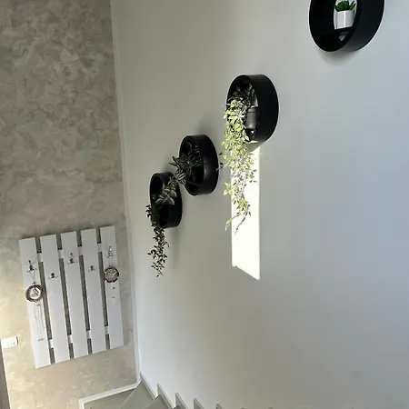 Apartment Apartments With Hot Tub Mandre, Pag - 24670 *